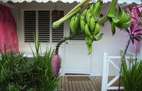 Bungalows of the Hotel CASA NINA - Las Terrenas - Dominican Republic
